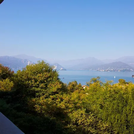 Faggio E Tasso * Reno Di Leggiuno