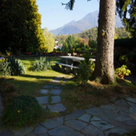 Faggio E Tasso * Reno Di Leggiuno
